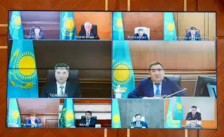 В Восточном Казахстане стартует масштабная высадка 36 миллионов саженцев на площади 7 тысяч гектаров