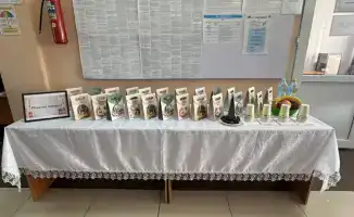 Социальная солидарность и активизм в Енбекшиказахском районе во время референдума