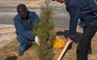 Посадка саженцев родителями в школах «Келешек мектептері» как шаг к укреплению школьного сообщества