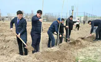5 тысяч саженцев: Жетысай обновляется к весне!
