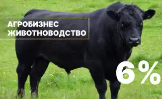 Льготное кредитование животноводства в Казахстане: АО 'Аграрная кредитная корпорация' запускает программу