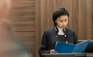 Судья Кульбаева ставит под сомнение экспертизы в резонансе