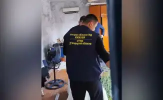 В Атырау задержан мужчина за незаконное выращивание 62 кустов конопли: социальные последствия и общественная безопасность