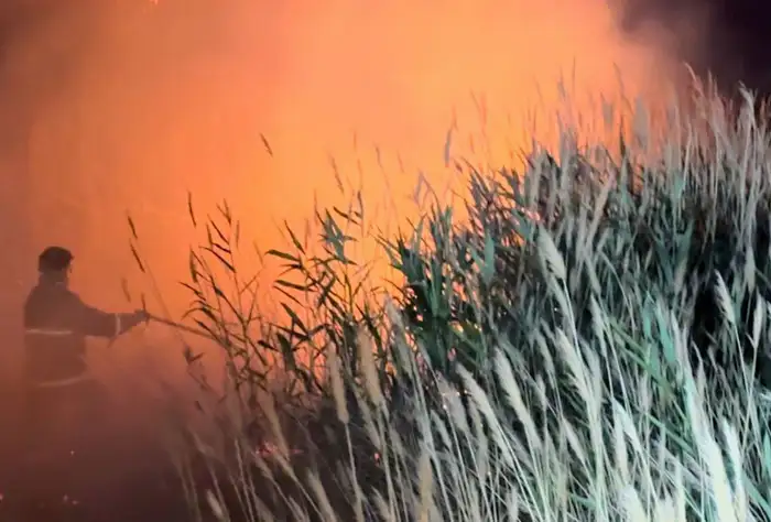 Сезон повышенной пожарной опасности в резервате «Акжайык»: угрозы для экосистемы и биоразнообразия Атырау