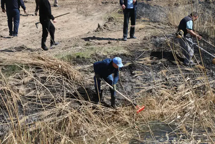 ТУРКЕСТАН: В САРЫАГАШЕ В РАМКАХ ЭКОЛОГИЧЕСКОЙ АКЦИИ «МӨЛДІР БҰЛАҚ» ОЧИЩЕНО 15 КИЛОМЕТРОВ КАНАЛОВ И АРЫКОВ (2)