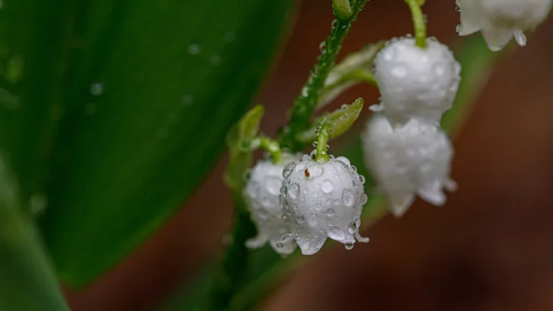 Погода в Астане и Алматы: как предстоящие дожди и потепление повлияют на жизнь горожан Атырау