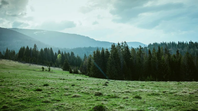 Погода в Астане и Алматы: резкое похолодание и грозы могут повлиять на повседневную жизнь горожан Атырау
