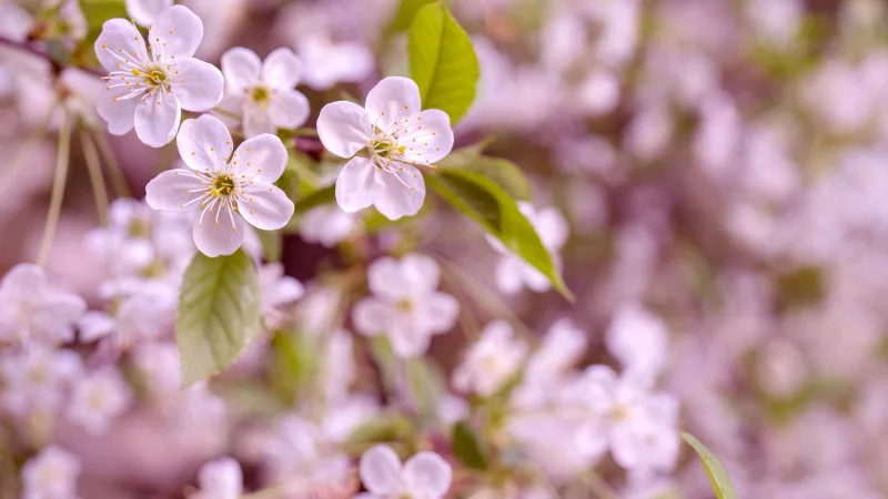 Астана: тепло, Алматы: дожди и град в ближайшие дни Атырау
