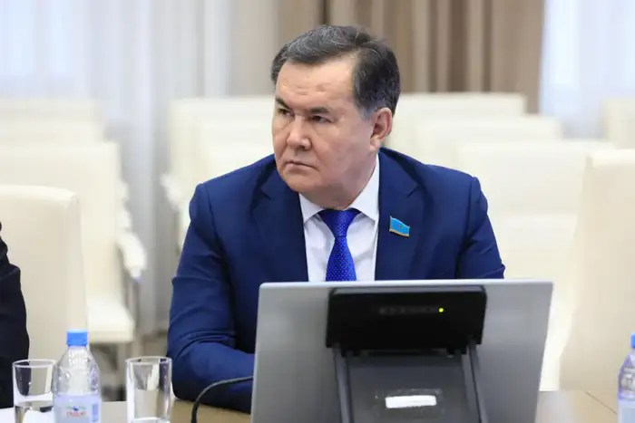Аким региона обсудил с сенаторами развитие экономики и бюджетный потенциал (4)