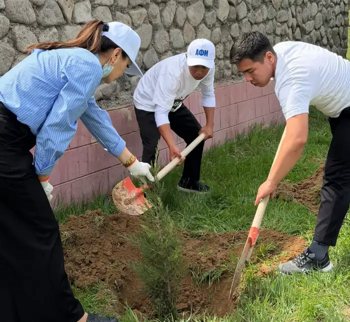 Посадка 200 деревьев в Туркестанской области: вклад волонтеров в экологическое будущее региона Атырау