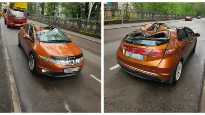 В Алматы дерево упало на проезжую часть, повредив стоящий легковой автомобиль Атырау