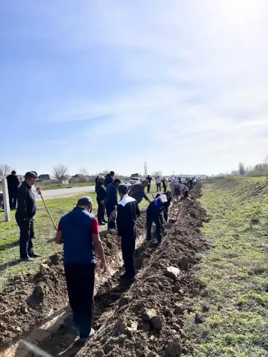 В Жетысайском районе прошла акция «Мөлдір бұлақ», в которой приняли участие 500 человек для очистки канала и высадки деревьев. Атырау