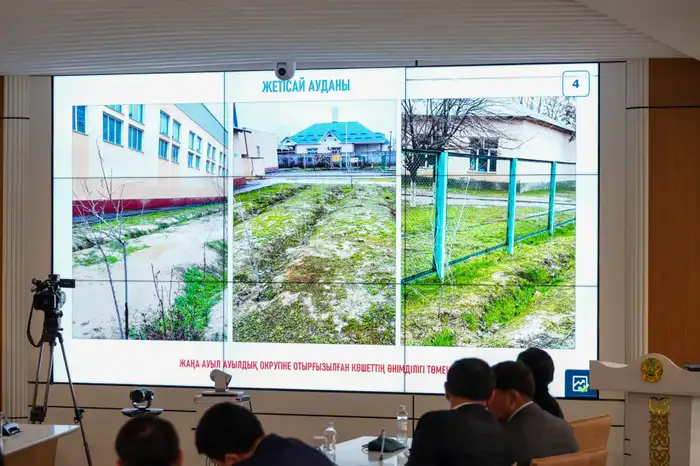 Озеленение Туркестанской области: высадка 1 млн саженцев в 2026 году в рамках программы по улучшению экологии Атырау