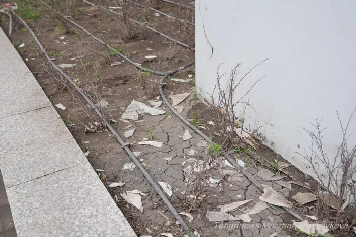 отслоившаяся краска на Астана LRT