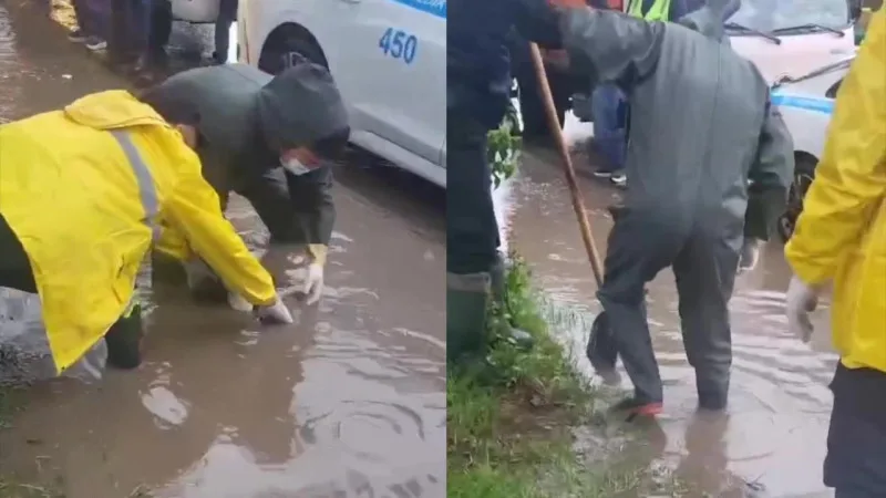Мужчина утонул в арыке в Алматы во время дождей, находясь в алкогольном опьянении Атырау