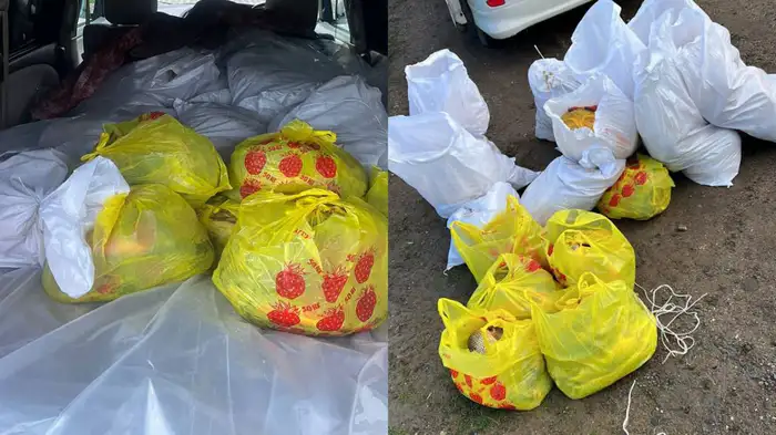 Казахстанские полицейские изъяли почти 400 килограммов незаконно добытой рыбы на трассе Атырау – Уральск Атырау