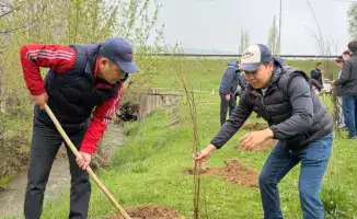 Посадка 9000 деревьев в районе Толеби: вклад в экологическое будущее региона