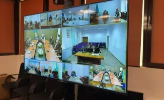 Согласованные усилия Казахстана и ФАО: стратегический подход к минимизации угрозы саранчовых вредителей