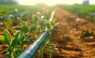 Оптимизация водопотребления в аграрном секторе Казахстана