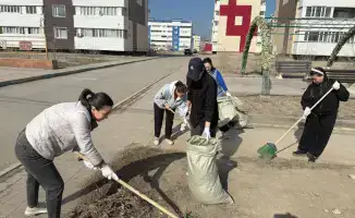 Экологическая акция в области Ұлытау: формирование культуры устойчивого развития через совместные усилия сообщества