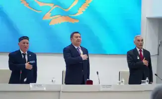 Дубы ветеранов: как поддержать корни общества?