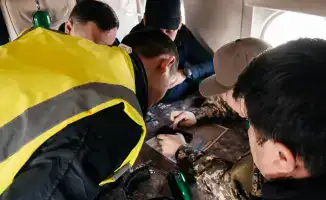 Атырау меры борьбы с пыльными бурями озеленение исследования