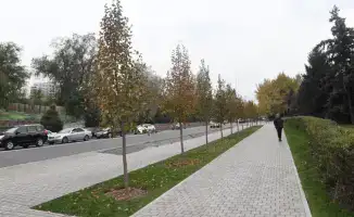 Участие более 1000 человек в уборке Алмалинского района Алматы способствует улучшению городской среды и повышению качества жизни жителей.