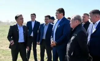 В Абайской области готовятся к химическим обработкам против саранчовых вредителей в 2026 году