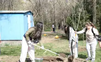 Экологическая инициатива журналистов и блогеров в Алматы: шаг к зелёному мегаполису