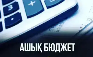 Международные инициативы в области управления бюджетом и обучения выборным процессам