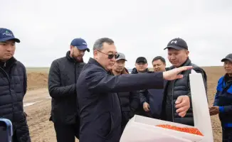 Преобразование пастбищ в орошаемые земли: шаг к устойчивому развитию аграрного сектора в Жамбылском районе