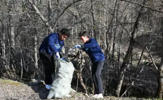Весенний экологический вальс: «Eco Spring Action» зазвучал в Жетісу