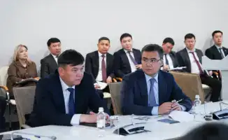 В Туркестанской области началась масштабная борьба с саранчой с привлечением более 2 тысяч человек