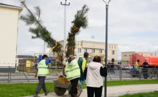 Зеленая революция: 300 сердец против мусора!