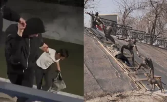 Алматинцы повторили героический трюк спасения собаки, которому установлен памятник: Хаски по кличке Юта, пропавшая почти неделю назад, была найдена в ледяной воде в десяти километрах от дома благодаря внимательным прохожим.