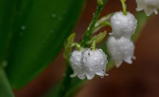 Погода в Астане и Алматы: как предстоящие дожди и потепление повлияют на жизнь горожан