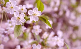 Астана: тепло, Алматы: дожди и град в ближайшие дни