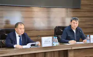 Туркестан: ежедневно обновляется инвентаризация техники и рабочей силы для борьбы с саранчой