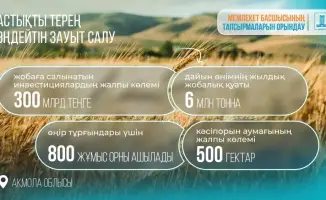 Создание завода по глубокой переработке зерна в Акмолинской области: 800 новых рабочих мест и инвестиции в технологии и экологию