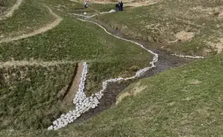Экологическая акция очистки водных источников в Толебийском районе