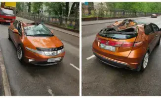 В Алматы дерево упало на проезжую часть, повредив стоящий легковой автомобиль