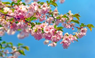 Синоптики Казгидромета уточнили прогноз погоды для Астаны и Алматы на ближайшие три дня: 29, 30 апреля и 1 мая. В то время как в некоторых регионах страны ожидаются дожди, в столице и крупнейшем городе Казахстана осадки не предсказываются.