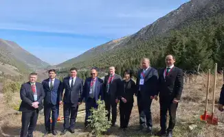 Совместные усилия государств ШОС по восстановлению экосистем: значимость экологического сотрудничества