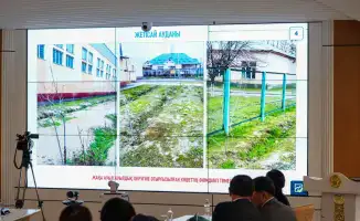 Озеленение Туркестанской области: высадка 1 млн саженцев в 2026 году в рамках программы по улучшению экологии