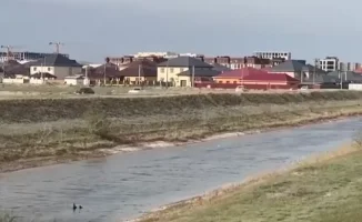 Жители Атырау страдают от подтоплений: социальные последствия повышения уровня грунтовых вод