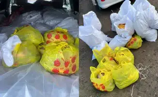 Казахстанские полицейские изъяли почти 400 килограммов незаконно добытой рыбы на трассе Атырау – Уральск