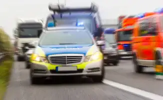 Сильный ветер в Германии повалил дерево, в результате чего три человека, включая младенца, погибли во время пасхальной охоты