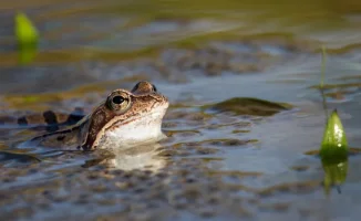 Погода в Казахстане: резкое похолодание в Астане и грозы в Алматы 1-3 мая