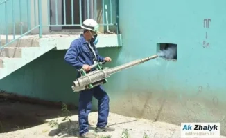 Неравномерная борьба с комарами: только два района Атырауской области готовы к обработке