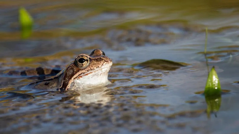 Погода в Казахстане: резкое похолодание в Астане и грозы в Алматы 1-3 мая Атырау